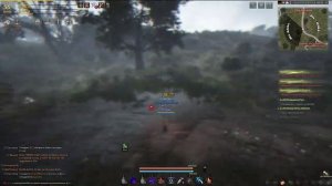 Black desert - Truffle . Где добыть Трюфель?