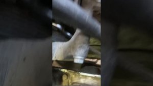 Заміна муфти генератора Т5 1.9ТDI