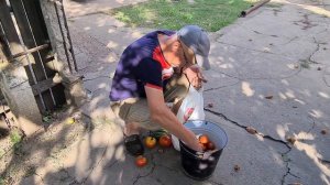 Vlog 12 Украина. Новомиргород, город где я родилась