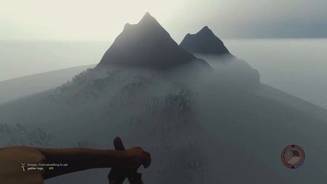 The Forest Glitch Fly