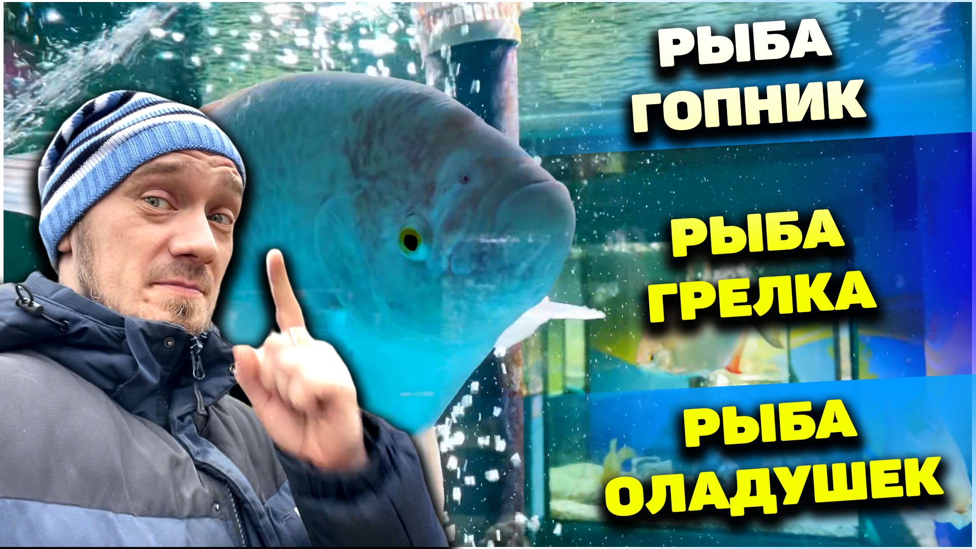 Нифёдов изучает рыбов / Анапский мини-океанариум Черная Жемчужина 04.02.24