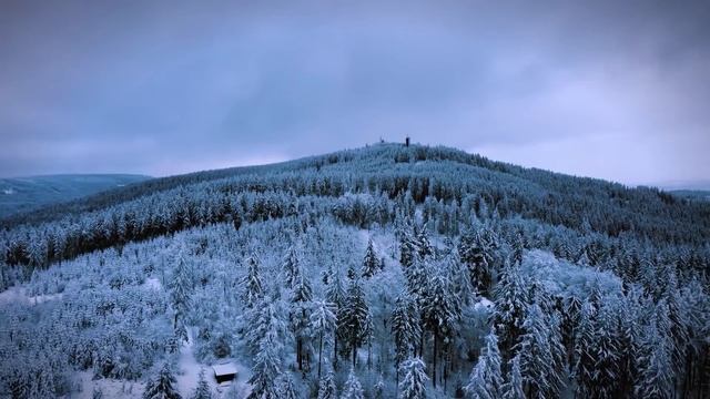 Настигнув девушку в лесу, негодяй уже предвкушал наслаждение, пока не вышел свирепый хищник смотреть онлайн