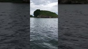 Рыбалка на реке Паратунка. Камчатка. Рыбалка на Камчатке. Рыбалка на кету.