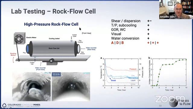 ASMEE-2021 | Prof. Amadeu Sum | A Multiscale, Multiphase Approach to Gas Hydrates смотреть онлайн
