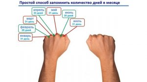 Урок. Как запомнить количество дней в месяце. Математика 3 класс. #учусьсам