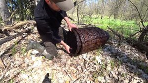 Ставлю вершы в диких ручьях. Поставил фото ловушку на тропу бобра