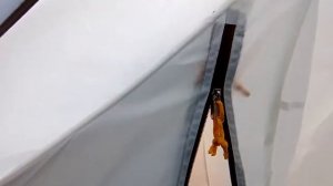 Обзор палатки на 6 человек