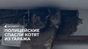 Полицейские спасли котят