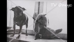 Жизнь в СССР. Детство, отрочество и юность в СССР. История Союза в фотографиях. #СССР #Фотография