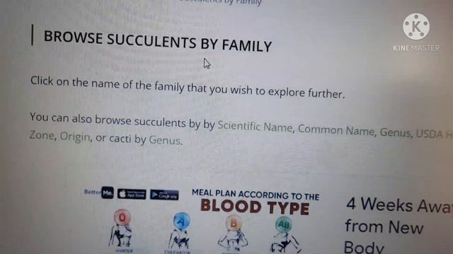 คุยกันเรื่อง Succulents ชื่อไม้อวบน้ำ ชื่อกุหลาบหิน ข้อมูลของไม้อวบน้ำหาจากไหน??? смотреть онлайн
