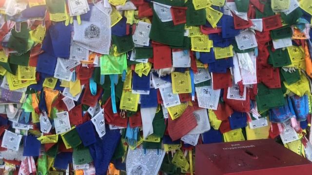 Одинокий тополь.