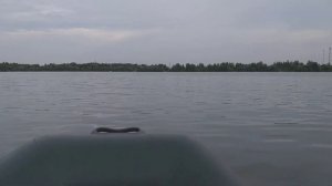 Кайман 285, Yamaha 5 , 17.07.21