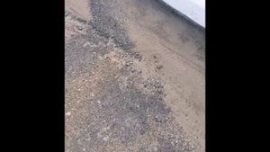 цыганские лошади