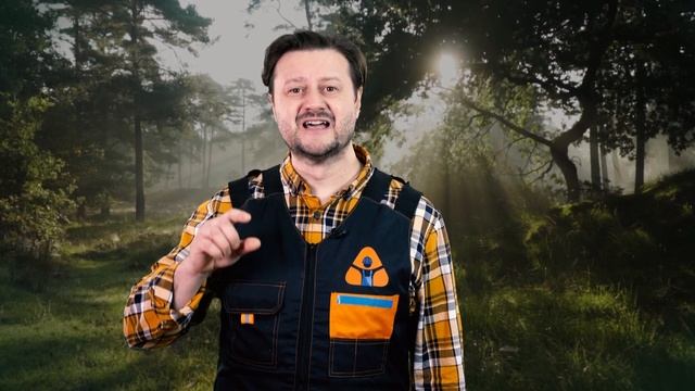 Forest сила