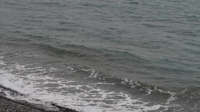 КАК МЫ ЗАРАБАТЫВАЕМ НА ЖИЗНЬ в СОЧИ? ● ЧЕМ ЗАНИМАЕМСЯ ПОСЛЕ ПЕРЕЕЗДА? ● Семья на Море смотреть онлайн