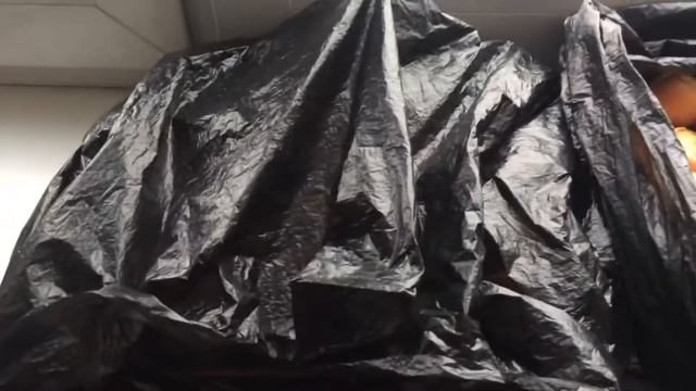 Грядка с зелёным луком дома (12 февраля 2019) смотреть онлайн