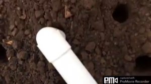Удобная"сажалка"для чеснока.