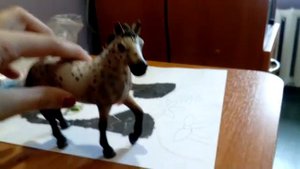 Коллекция фигурок лошадей