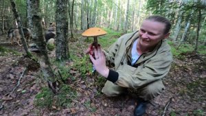 Грибная разведка 6 августа 2022г. Всеволожский район