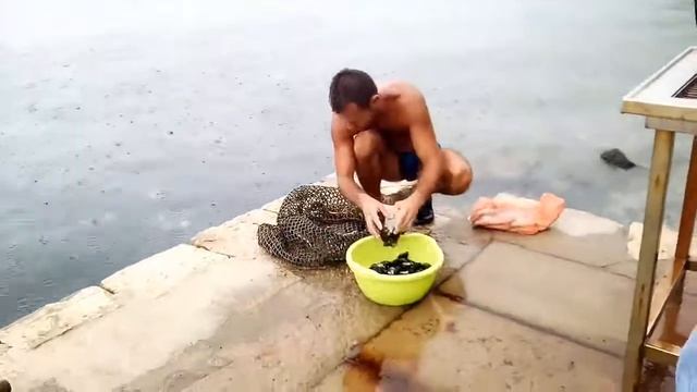 Ферма по выращиванию мидий смотреть онлайн