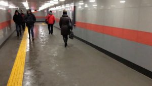 Повальный насморк