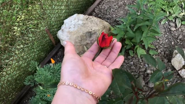 Нет желания что-либо делать .27.05.23