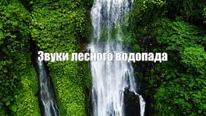 Звуки Лесного Водопада Для Сна. Белый шум для медитации, сна и отдыха