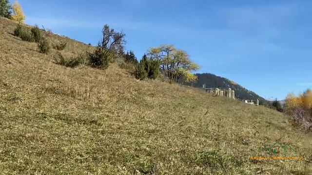 Продажа ділянки в Карпатах, смт Верховина. 35 соток. Ціна 60000$ смотреть онлайн