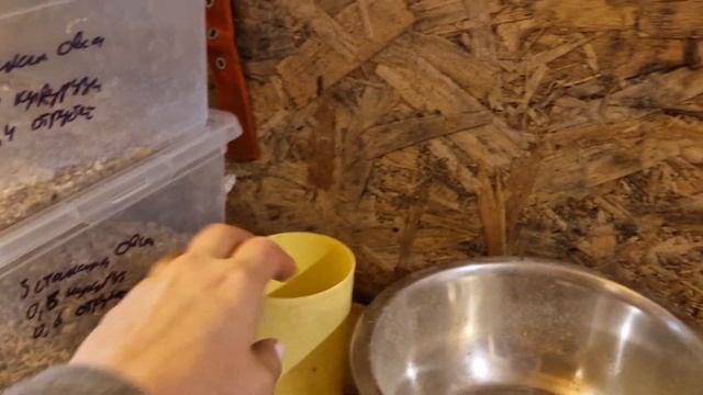 Один день на ферме ???? Выпуск 1 смотреть онлайн