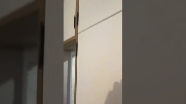 Шкаф распашной на всю стену с антресолью над дверью