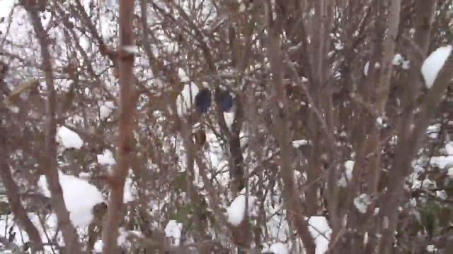 Первый снег Зелёная дорожка смотреть онлайн