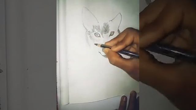 how to draw a wolf //sketch of wolf смотреть онлайн