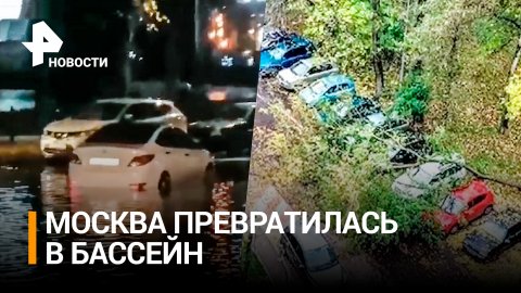 В Москве упавшие деревья повредили несколько автомобилей / РЕН Новости