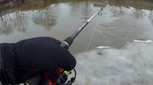 Открытие сезона на спиннинг 2020. Щука ловится возле дома