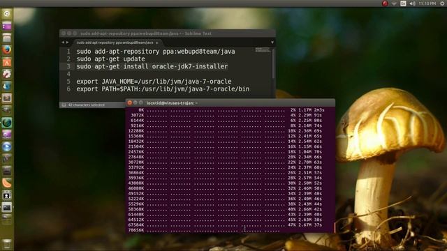 How to install Java JDK in Ubuntu смотреть онлайн