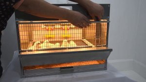 Брудер "Профессионал Ультра" 55-БР-1 от CrazyFerma. Лучшие брудеры России. Брудер для цыплят.