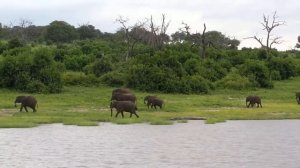 Чобе Парк в Ботсване - Chobe National Park