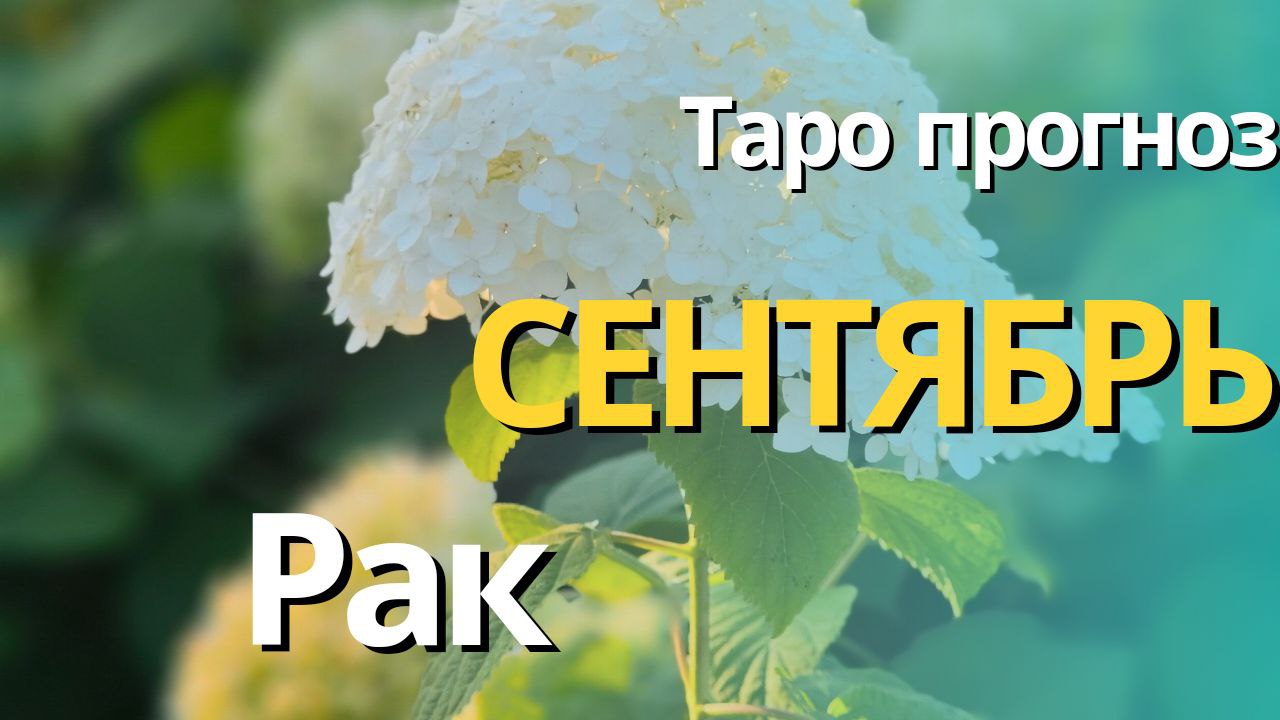 РАК СЕНТЯБРЬ  2023 [Таро прогноз]