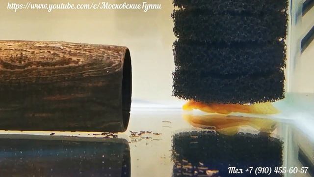 Внутренние фильтры в наших аквариумах:  фильтр AQUAEL модель TURBO FILTER 500 смотреть онлайн