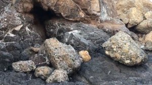 Это тоже Оман.  Кантаб пляж ( Qantab beach Oman ), Йити пляж Оман ( Yitti beach Oman )