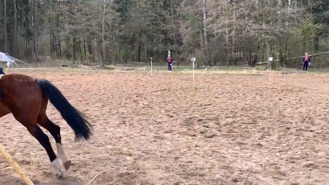 Полковой смотр 17-го Уланского полка. 2021г смотреть онлайн