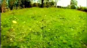 Minuscule - Божья коровка