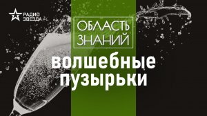 Приключение шампанского по организму человека. Лекция научного журналиста Егора Быковского.