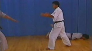 КАРАТЭ Sabaki Method Enshin Karate Часть3