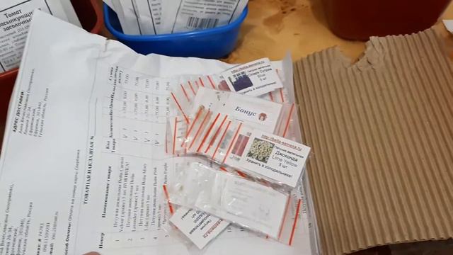 Готовимся к новому сезону. Обзор посылок с семенами. смотреть онлайн