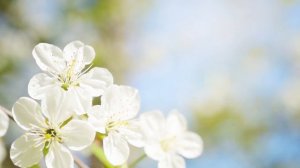 Beautiful Romantic Music • Relaxing Music, Guitar Music, Violin Music, Cello Music, Piano Music