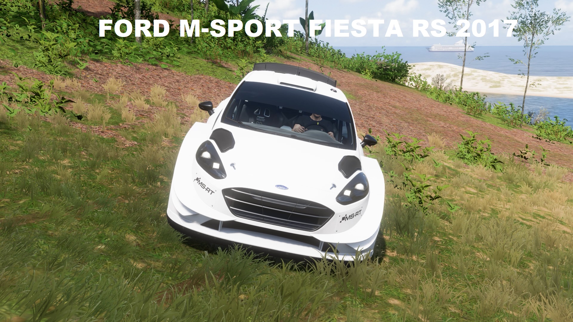 Ford m Sport Fiesta RS