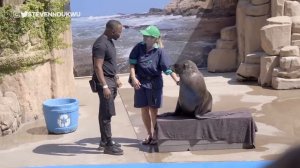 is Durban really an abandoned city in South Africa?