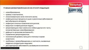 Атаксия у кошек и собак