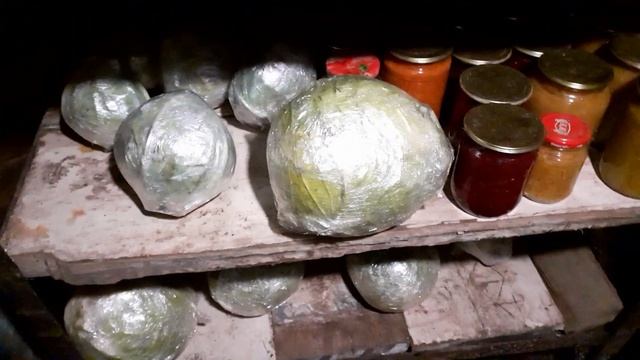 капуста в погребе до весны..... смотреть онлайн